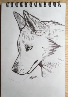 a pencil drawing of a dog's head