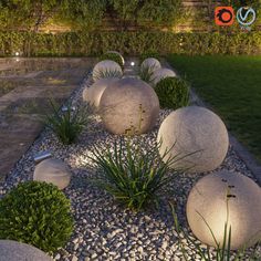 some rocks and plants in the middle of a garden at night with lights shining on them