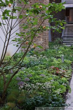 an apartment building with plants and flowers in the foreground, next to a sidewalk