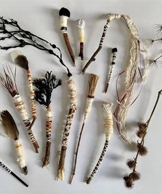 an assortment of dried plants and twigs arranged on a white surface