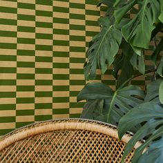 a wicker chair sitting in front of a green and white checkerboard wall