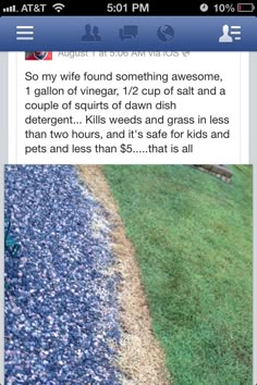 an image of someone's yard with grass and dirt on the ground in front of them