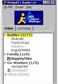 a computer screen with an email address and the message list for buddy's buddy list