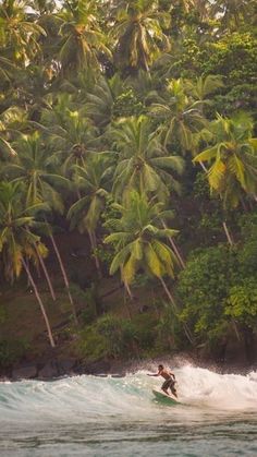 🎧 Surfing Sri Lanka, Sri Lanka Culture, Sri Lanka Nature, Surf Food, Mirissa Beach, Sri Lanka Surf, Mirissa Sri Lanka, Travel Sri Lanka, Jungle Beach