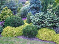 a garden filled with lots of different types of trees