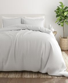 a bed with blue comforters and pillows in a room next to a potted plant