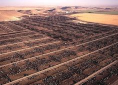 an aerial view of the desert with many tracks