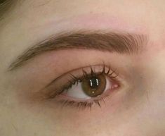 Long Eyebrows Natural, Full Eyebrows Aesthetic, Flat Eyebrow Shape, Soft Eyebrows Natural Looks, Eyebrow Claim, S Shaped Eyebrows, Beautiful Eyebrows Natural, Eyebrow Inspo Natural, Perfect Natural Eyebrows