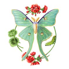 a green butterfly with red flowers on it's wings