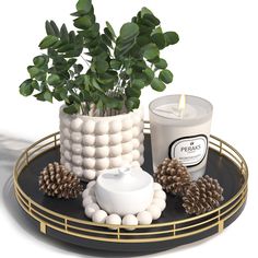 a candle and some pine cones are on a tray next to a potted plant