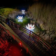 people are walking across a bridge at night with lights in the shape of lotuss