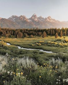 the mountains are covered in snow and grass, with small stream running through the foreground