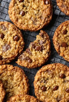 chocolate chip cookies on a cooling rack ready to be eaten