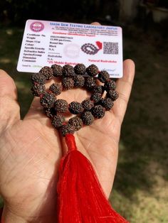 Rudraksh Bracelet For Men In Gold, Rudraksha Gold Bracelet For Men, Jaap Mala, Rudraksha Mala, Prayers For Healing, Healing Meditation, Healthy Environment, Artisan Craft, Rosary