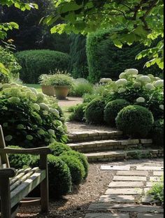 a wooden bench sitting in the middle of a garden next to bushes and trees with white flowers