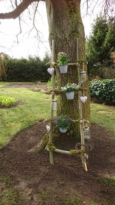 a wooden ladder is attached to a tree with potted plants on the top and bottom