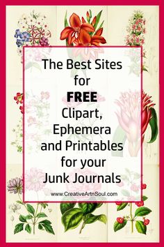 The Best Sites for Free Junk Journal Printables Printable Journal Stickers, Art Journal Printables, Vintage Labels Printables Free, 2024 Printable, Free Ephemera, Journal Pictures