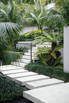 an outdoor garden with steps leading up to trees and plants on the side of it