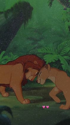 the lion and cub are kissing in the jungle