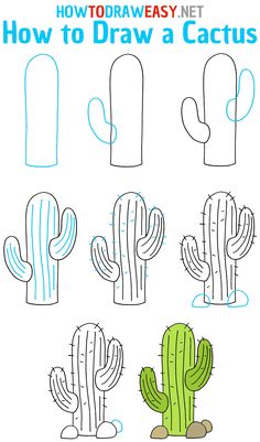 how to draw a cactus easy step by step drawing instructions for kids and beginners