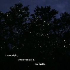 the night sky is lit up with lights and trees in the foreground that reads it was night, when you died, my firefly