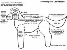 the diagram shows how to draw a dog's body and head, including its features