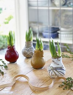 four small vases with plants in them on a table