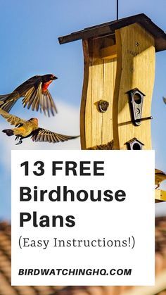 birds flying around a birdhouse with the text 13 free birdhouse plans easy instructions