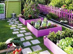 a garden filled with lots of plants next to a wooden fence and purple picket fence