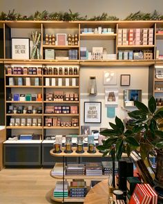 a store filled with lots of different types of items on shelves next to a potted plant