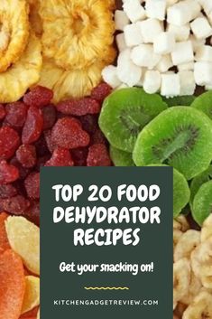 top 20 food dehydraator recipes to get your snacking on