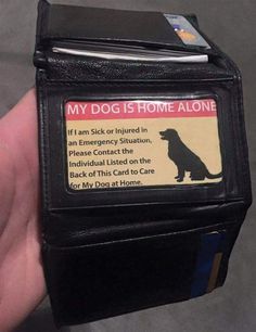 someone is holding their dog's id card wallet