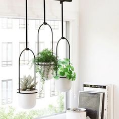 three hanging planters with succulents in them on a window sill