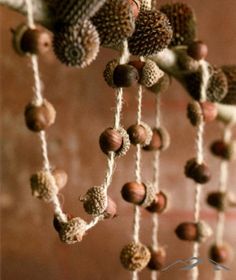 an arrangement of nuts hanging from the ceiling