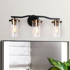 a bathroom vanity with three lights and a plant in the corner on the counter top