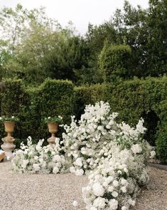 white flowers are growing in the middle of a graveled area with stone pillars and shrubbery