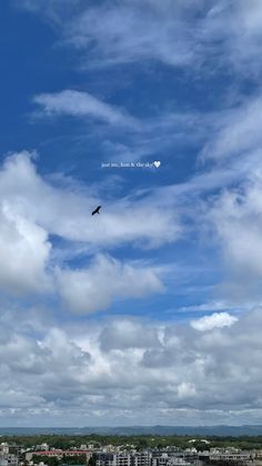 a bird flying high up in the sky over a cityscape with buildings and clouds