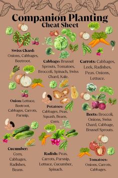 a poster showing the different types of vegetables and how they are used to cook them