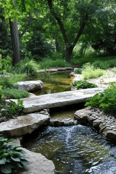 a small stream running through a lush green forest