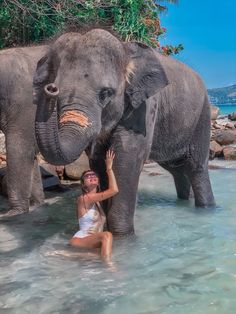 a woman standing in the water next to two large gray elephants with their trunks up