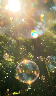 soap bubbles floating in the air on a sunny day