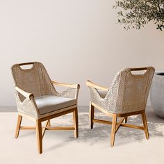 two chairs sitting next to each other near a potted plant