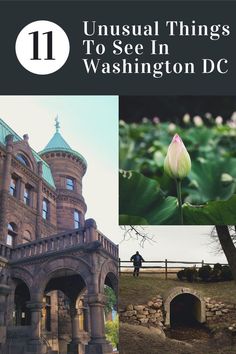 an old building with green leaves and a white flower in the foreground text reads 11 unusual things to see in washington dc