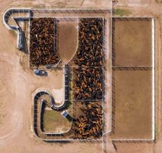 an aerial view of a field with many rows of plants