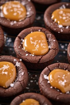 chocolate cookies with peanut butter on top and sea salt sprinkled on the side