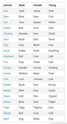 a table with different types of animals and names on it's side, including an animal