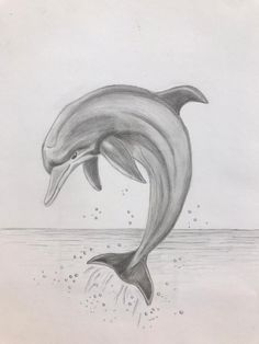 a drawing of a dolphin jumping out of the water