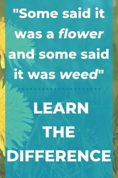 a dandelion with the words learn the differences between it and what it says