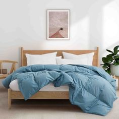 All Season Organic Cotton Comforter Filled with Down and Feather Fiber Image 8 Feather Comforter, Fluffy Comforter, Cozy Sleep, Down Comforters, Goose Feather, Goose Feathers, Cotton Comforters, Down Comforter, Comforter Cover