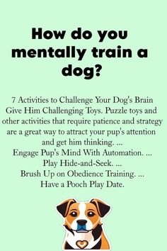 Teaching Old (and Young) Dogs New Tricks: Brain Training Therapy Dog Training, Train A Dog, Bored Dog